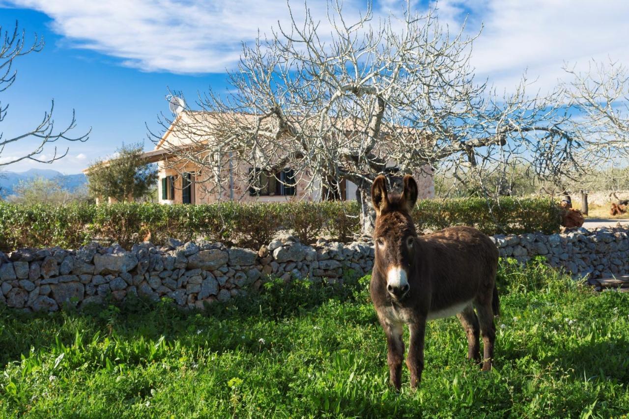 155 Finca Son Rossignol By Mallorca Charme Sineu (Mallorca) Exterior foto